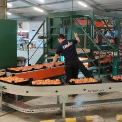 VDL Groep acquires Crux Agribotics, strengthening its position in Foodtech